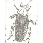 Benny (Year 10) etching