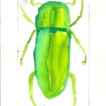 Kyrill (Year 10) etching