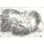 Paul (Year 10) etching