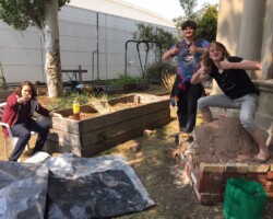 Joe, Tim and Vincent (Year 10) working on the earthen oven over the holidays.