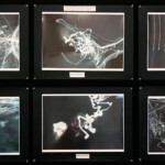 Sheina (Yr 11) digital photo